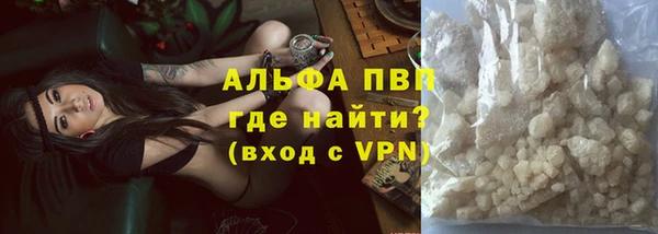 шишки Абинск